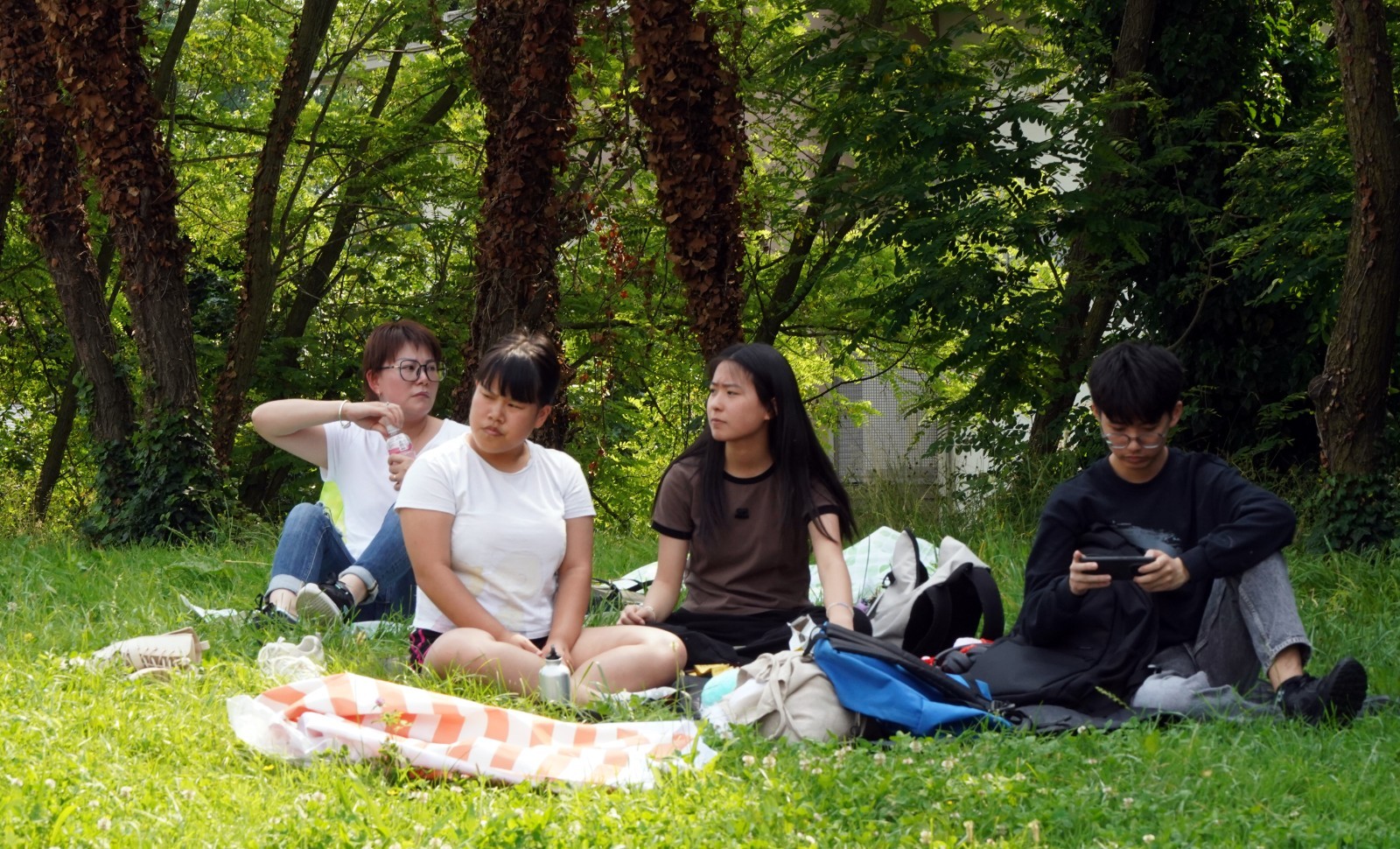 DSC02508_副本.jpg